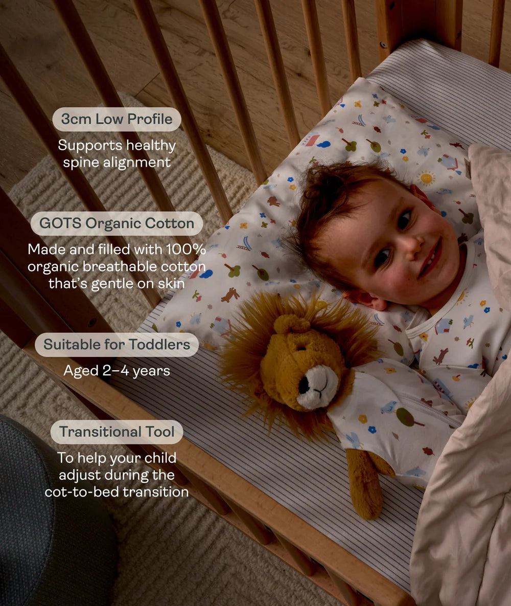 Organic Toddler Pillow and Case Daydream