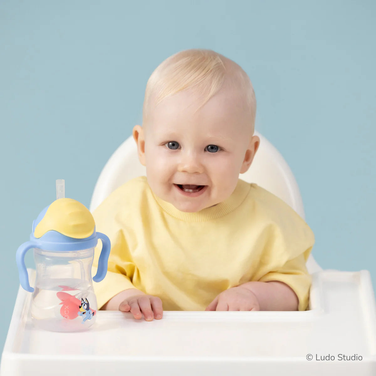 Bluey Sippy cup