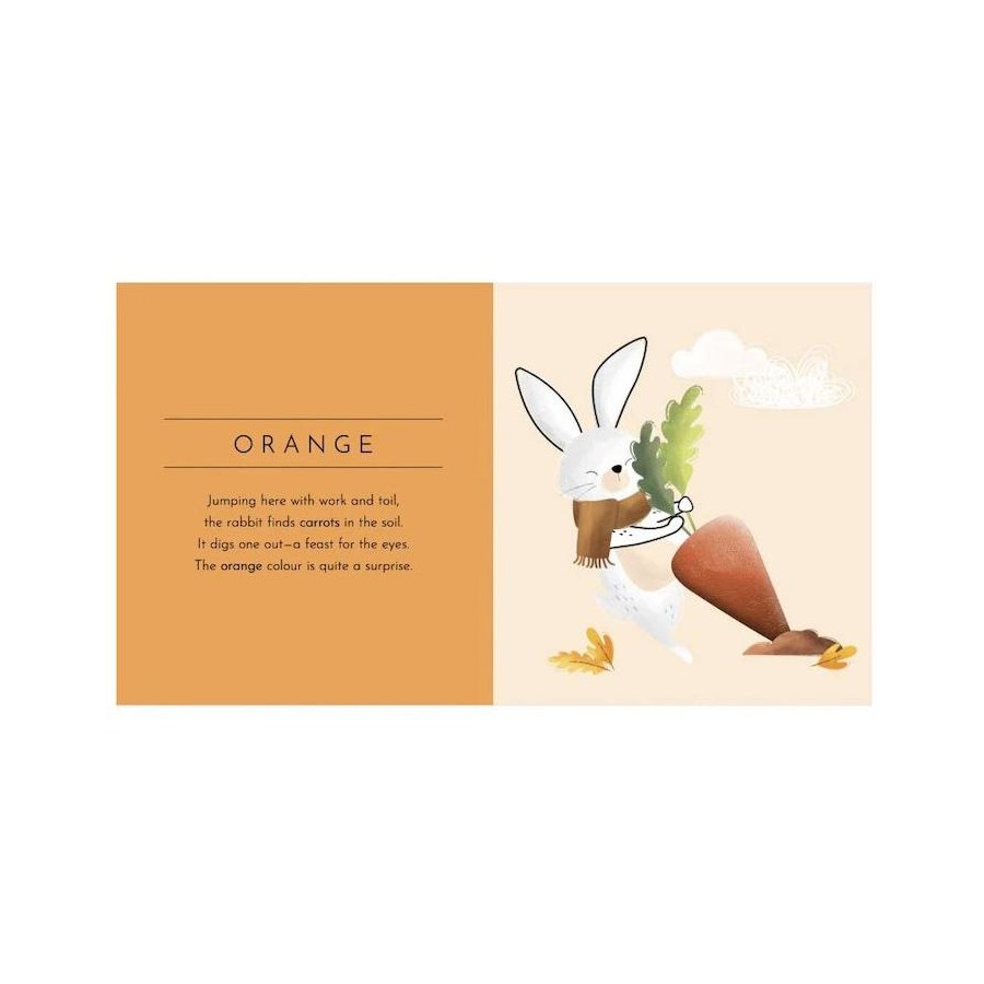 Sassi Junior Touch & Feel Pocket Book Colours | Aster & Ruby