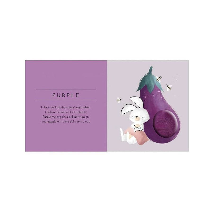 Sassi Junior Touch & Feel Pocket Book Colours | Aster & Ruby