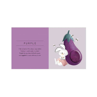 Sassi Junior Touch & Feel Pocket Book Colours | Aster & Ruby