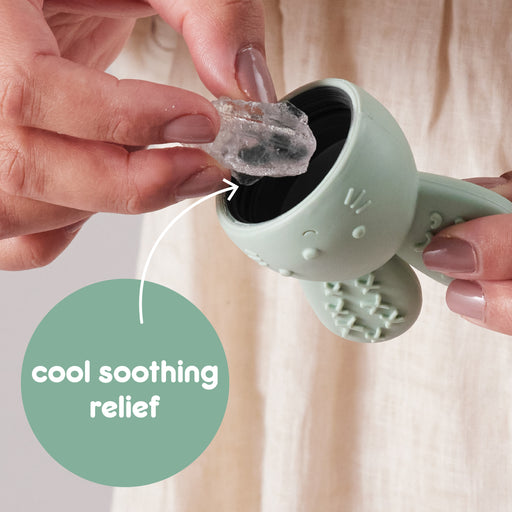 b.box Chill & Fill Teether Sage | Aster & Ruby