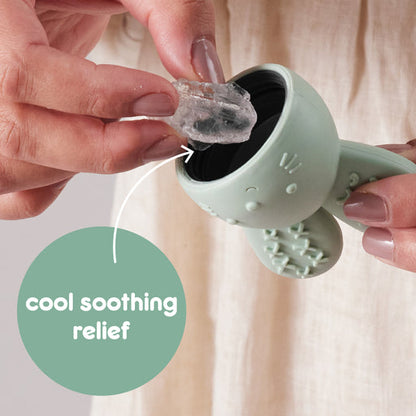 b.box Chill & Fill Teether Sage | Aster & Ruby