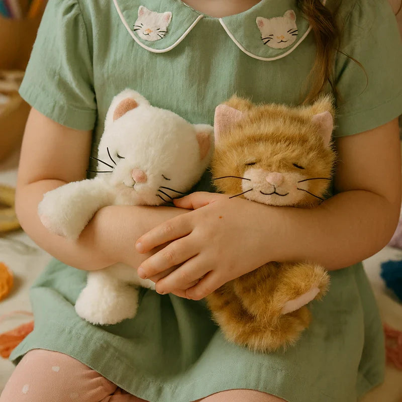 Binky Kitten Koda Ginger