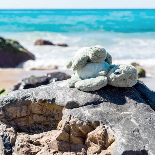 Little Tyler Turtle Soft Toy