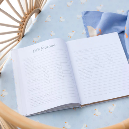 Baby Book Blue Ducks