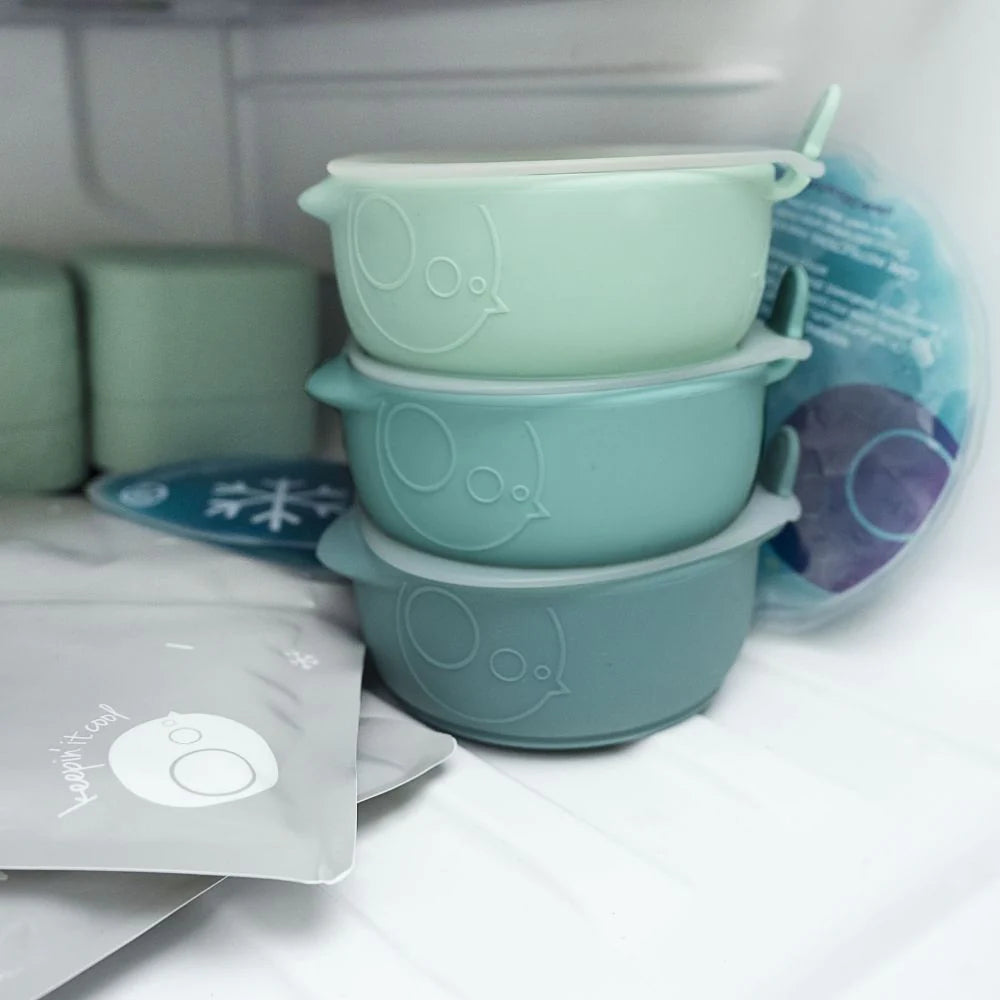 b.box Fill & Freeze 3pk Assorted | Aster & Ruby