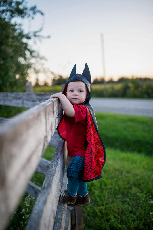 Great Pretenders Reversible Spider/Bat Flowing Cape Toddler 2-3 | Aster & Ruby
