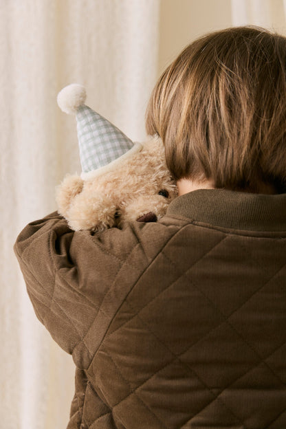 Snuggle Bunnies – Birthday Arthur (Gingham)