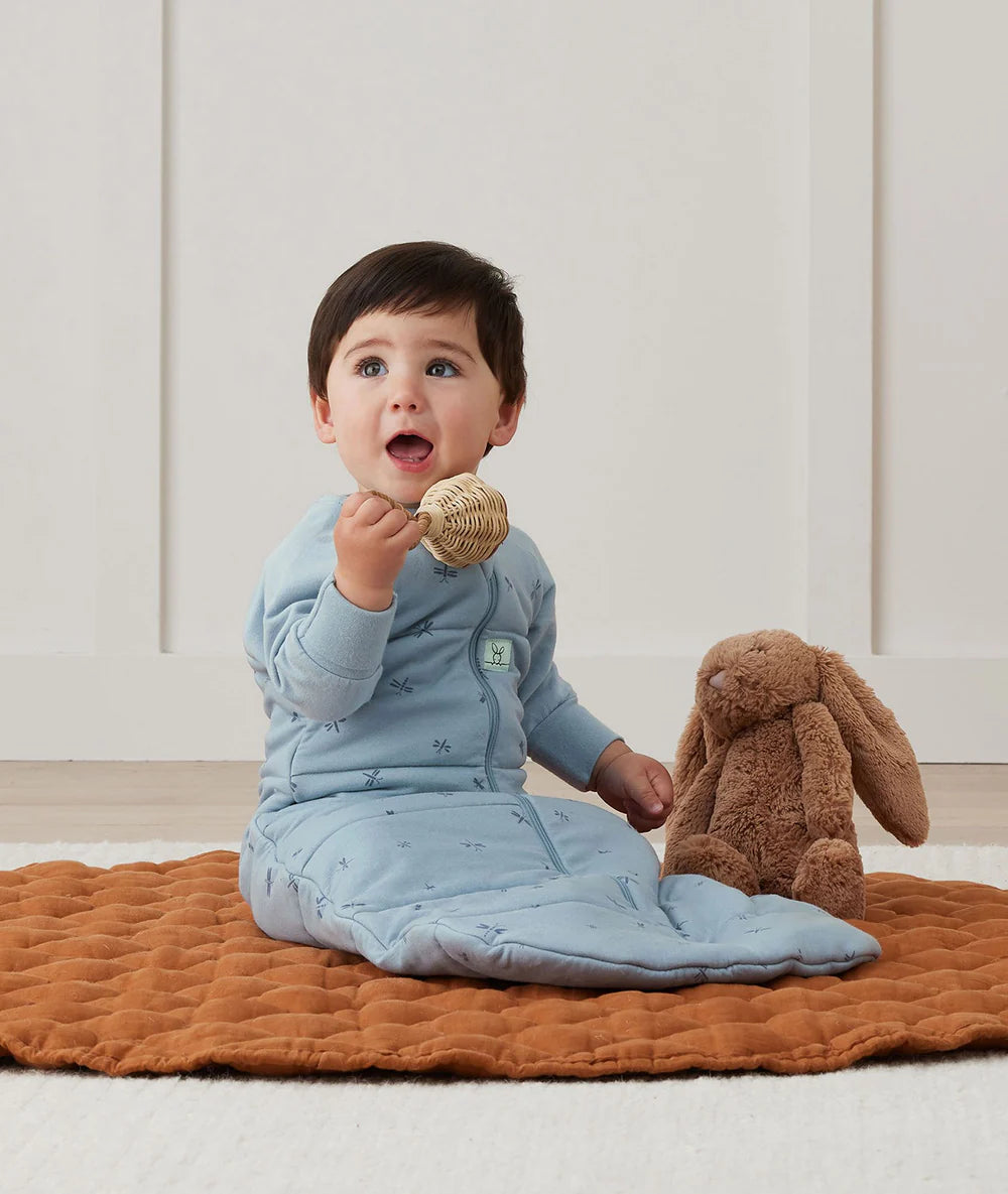 Sleeping Bag 2.5 TOG Sleeved Dragonflies