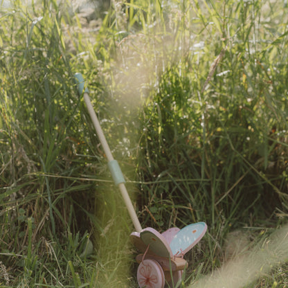 Wooden Push-Along Butterfly