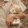 Cuddle Lioness 17cm
