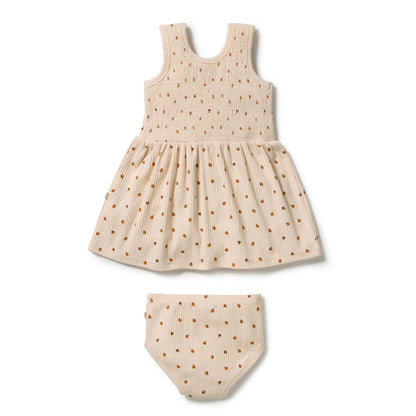 Little Lady Bugs Organic Dress Set