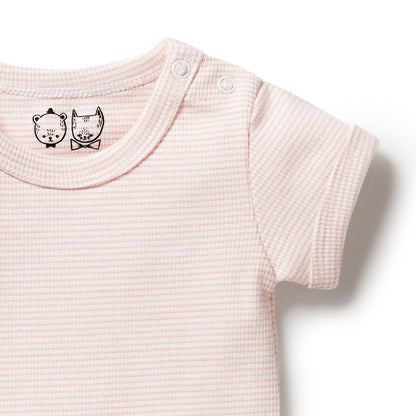 Organic Stripe Rib Bodysuit Cantaloupe