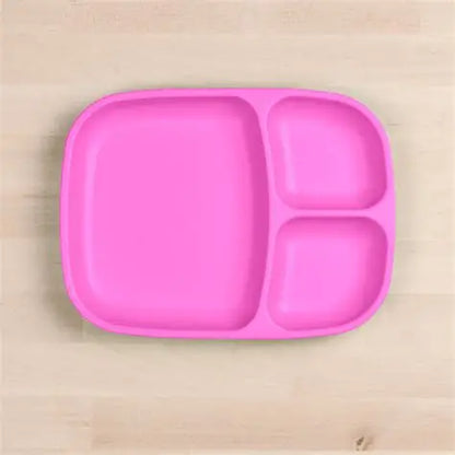 Divided Tray