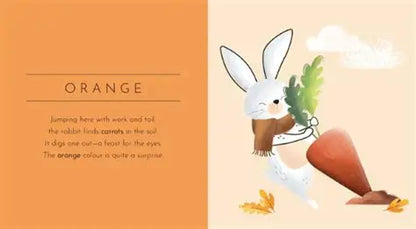 Touch & Feel Pocket Book Colours