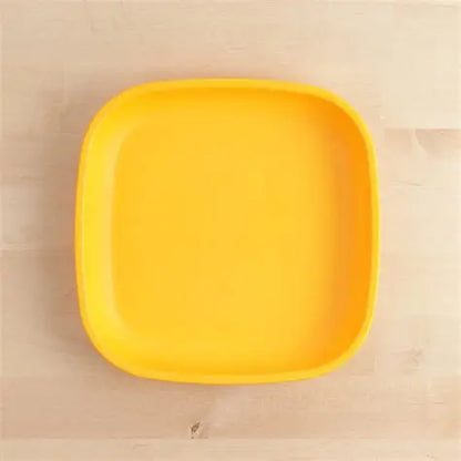Large Flat Plate