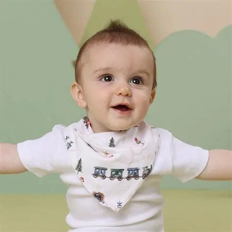 Snuggle Hunny Kids Trains Organic Dribble Bib | Aster & Ruby
