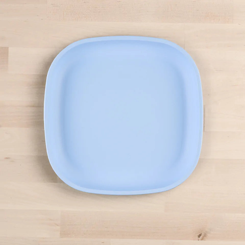Large Flat Plate