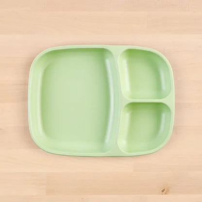 Divided Tray