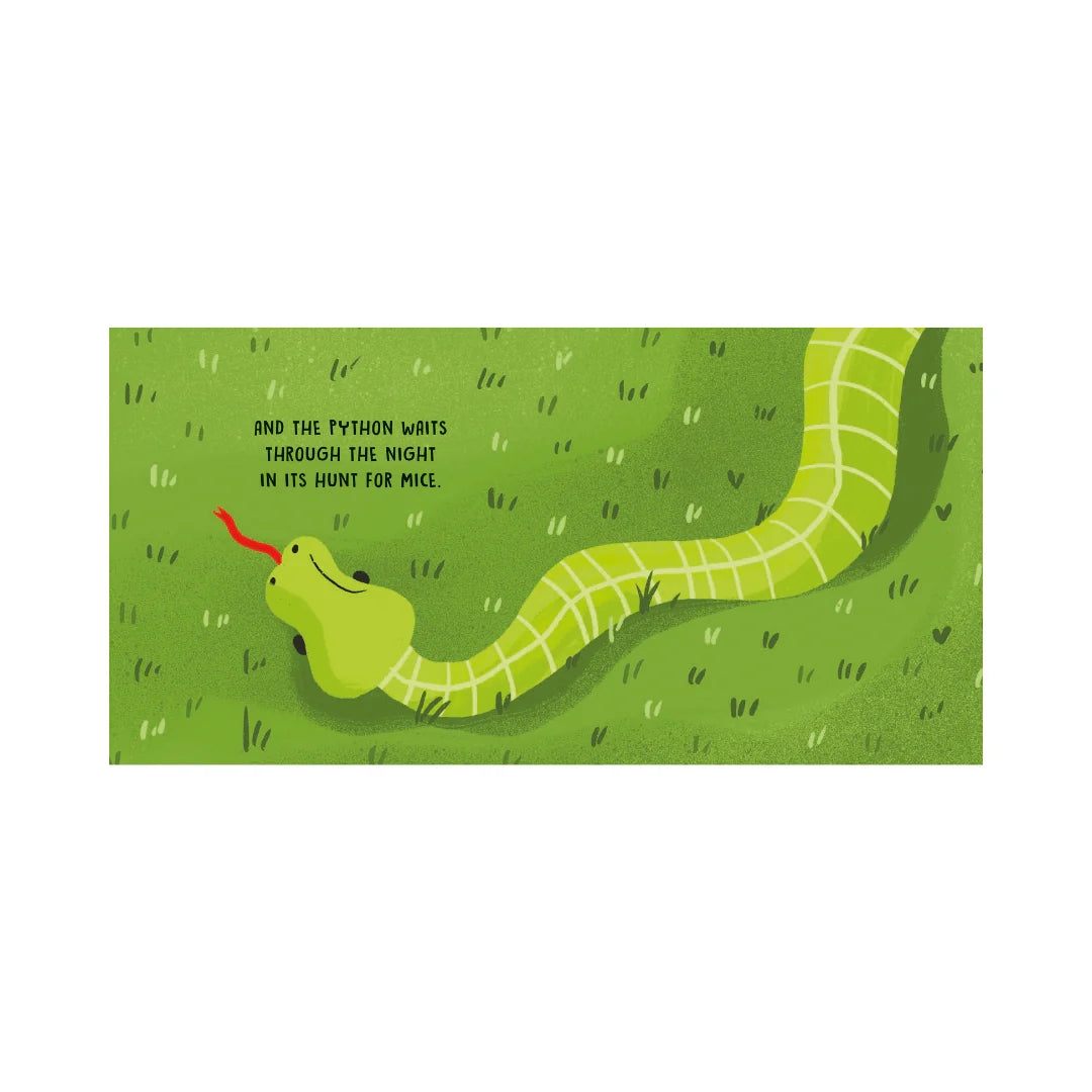 Sassi Sweet Sounds Stories – The Jungle (Board Book) image 2