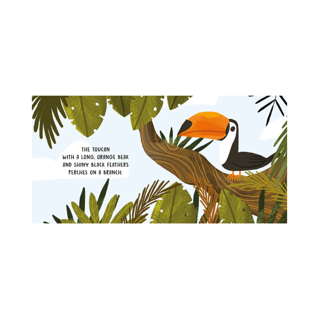Sassi Sweet Sounds Stories – The Jungle (Board Book) image 3
