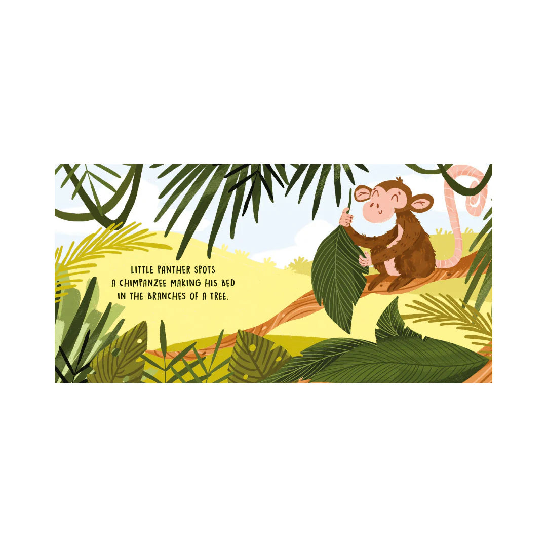 Sassi Sweet Sounds Stories – The Jungle (Board Book) image 4