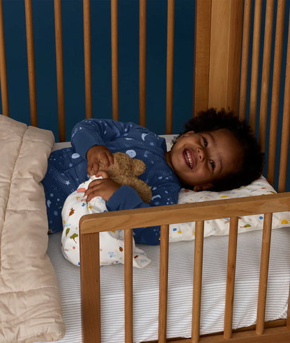 Organic Toddler Pillow and Case Daydream