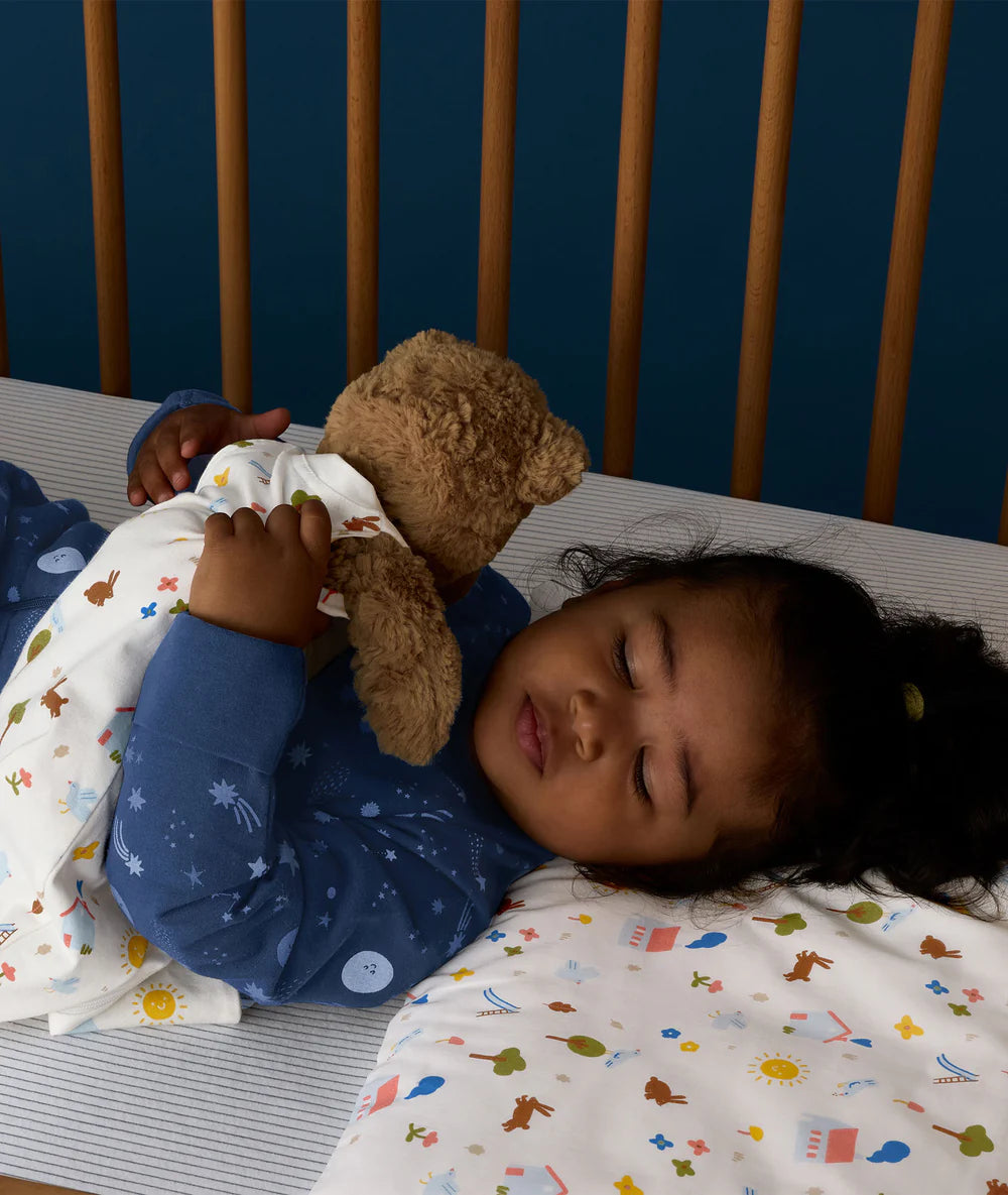 Organic Toddler Pillow and Case Daydream