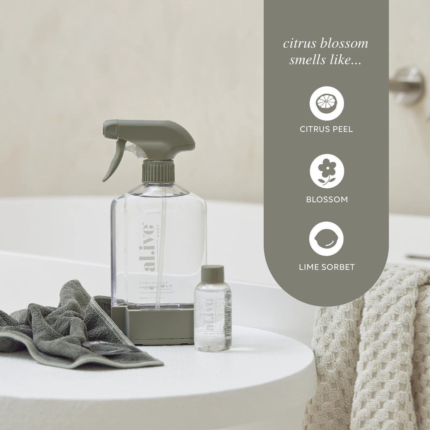Home Bathroom Cleaning Kit