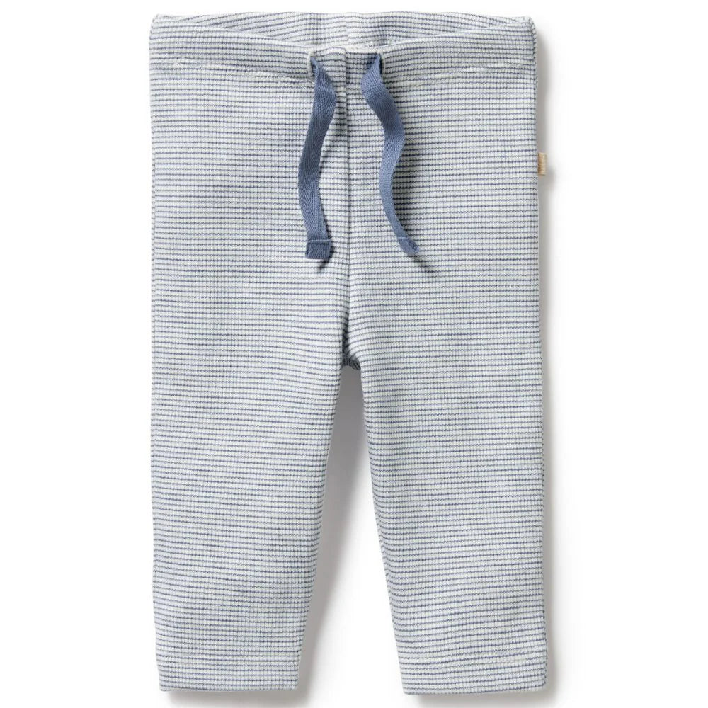 Wilson & Frenchy Rain Drop Organic Stripe Rib Leggings | Aster & Ruby