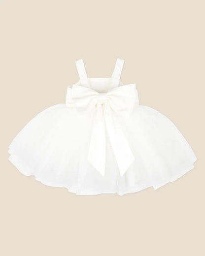 Embroidered Bodice Tulle Dress - Ivory