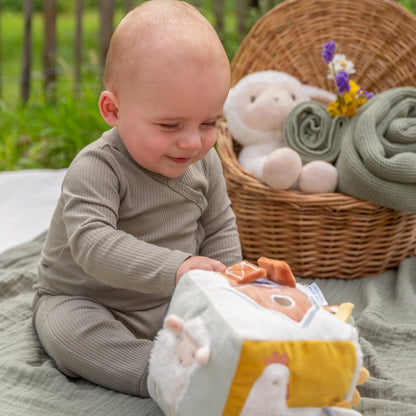 Soft Activity Cube - Little Farm