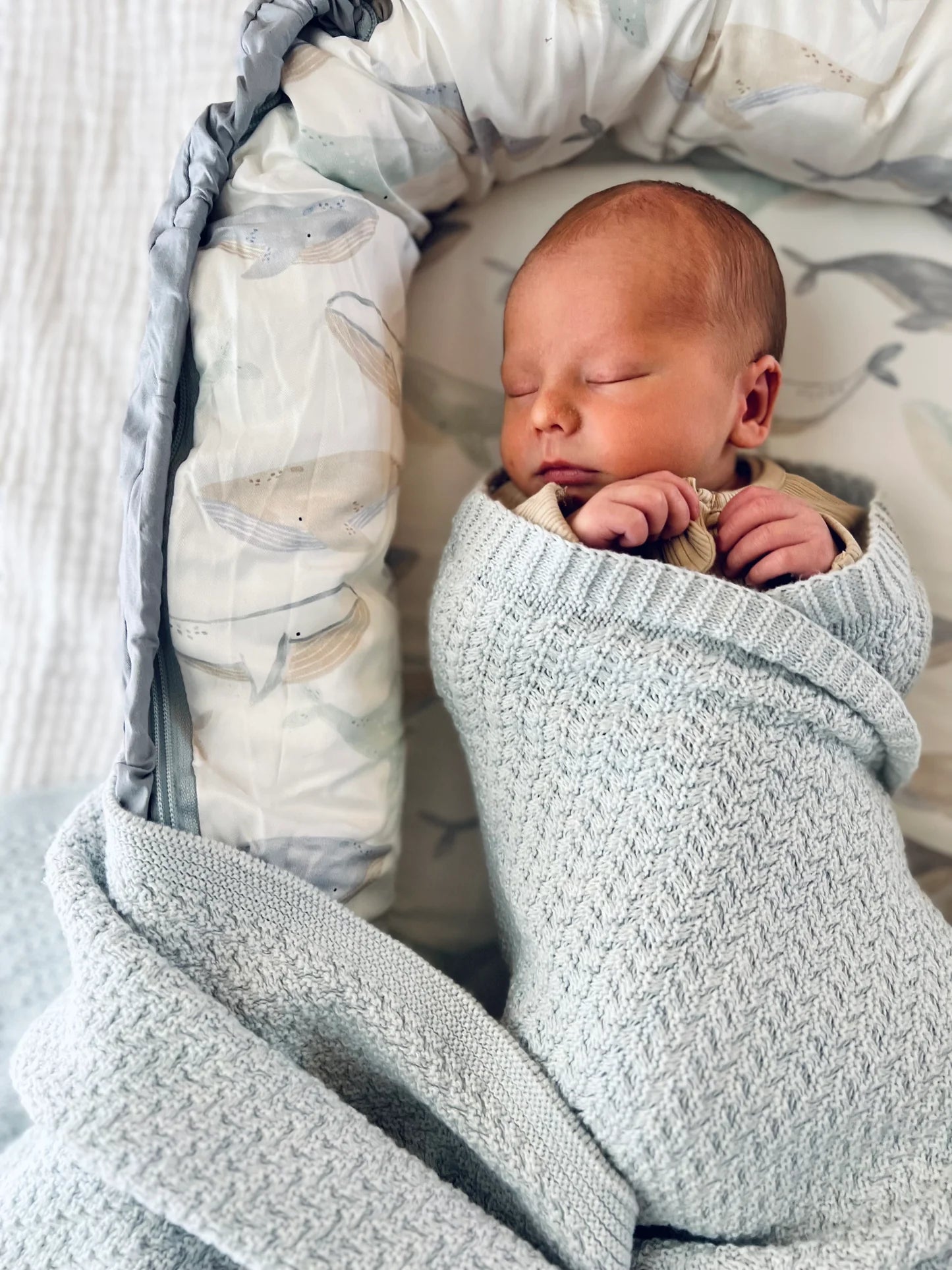 Baby Lounger Whales - Aster & Ruby