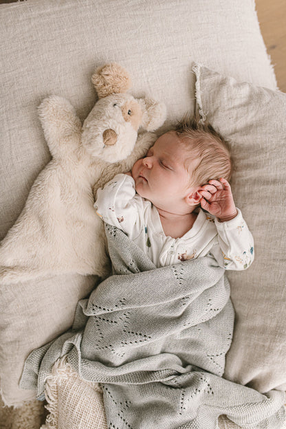 Buddy the Dog Hoochy Coochie