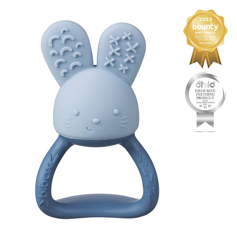 b.box Chill & Fill Teether - Lullaby Blue - Aster & Ruby