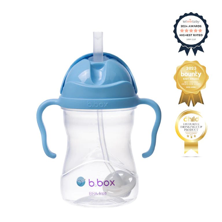 b.box Sippy Cup-Aster & Ruby