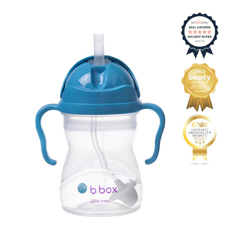 b.box Sippy Cup-Aster & Ruby