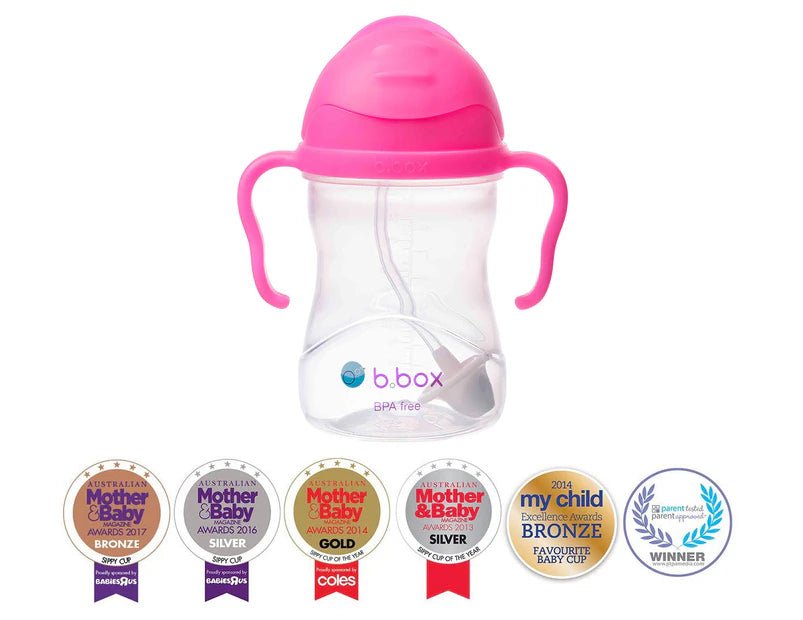 b.box Sippy Cup-Aster & Ruby