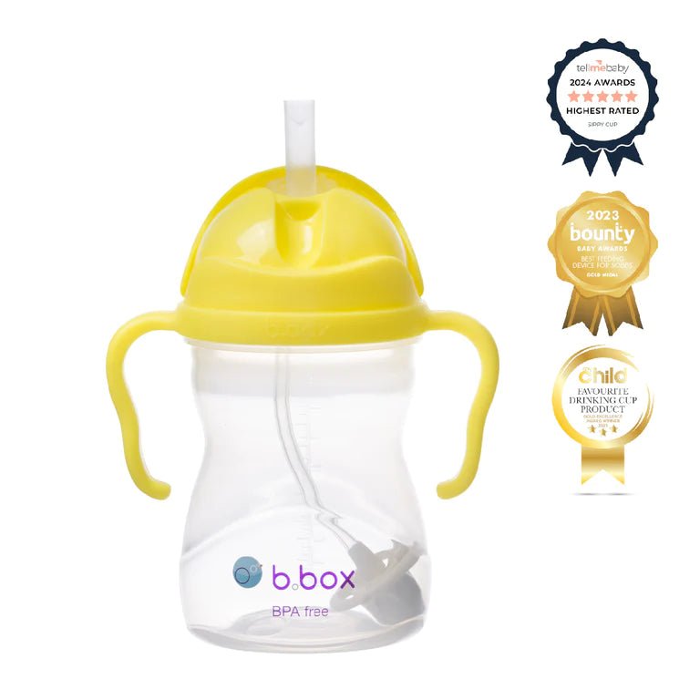 b.box Sippy Cup-Aster & Ruby