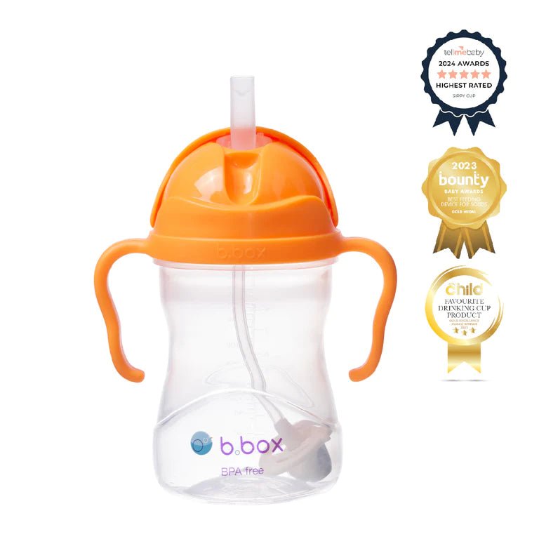 b.box Sippy Cup-Aster & Ruby