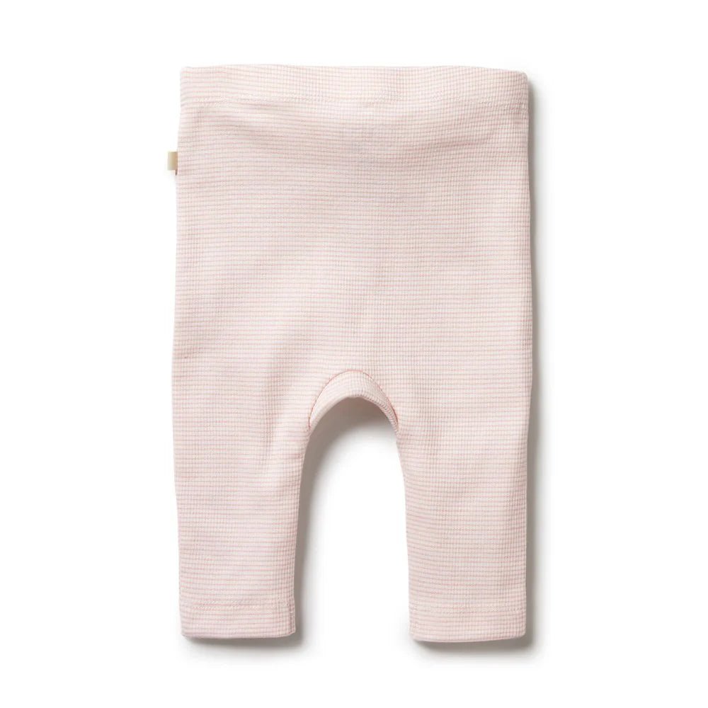 Cantaloupe Organic Stripe RIb Leggings - Aster & Ruby