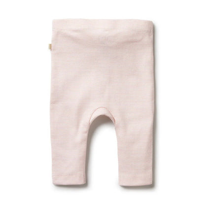 Cantaloupe Organic Stripe RIb Leggings - Aster & Ruby