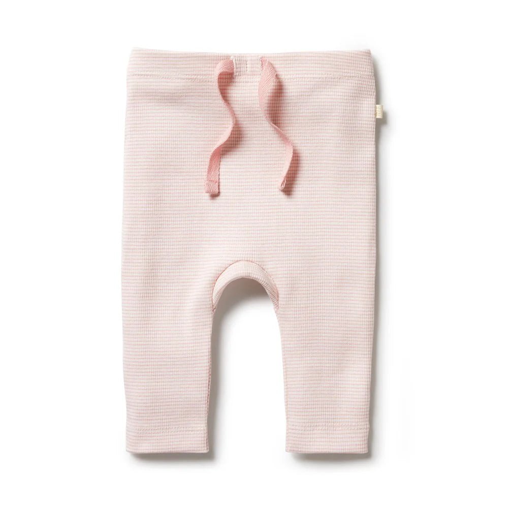 Cantaloupe Organic Stripe RIb Leggings - Aster & Ruby
