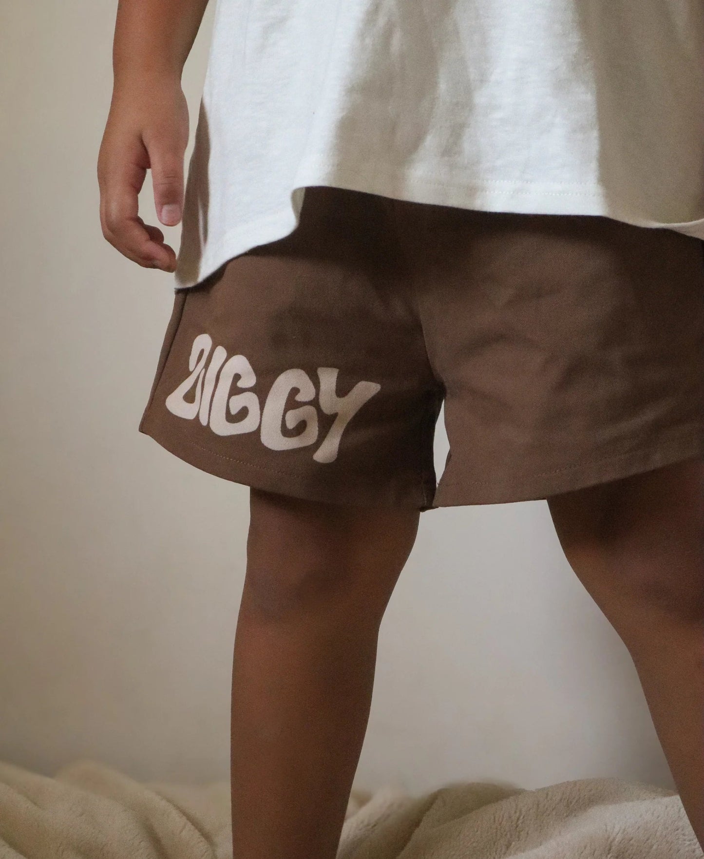 Canvas Shorts | Ziggy - Aster & Ruby