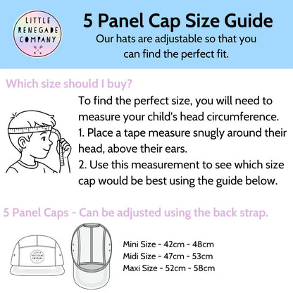 Cloud 5 PANEL - Aster & Ruby