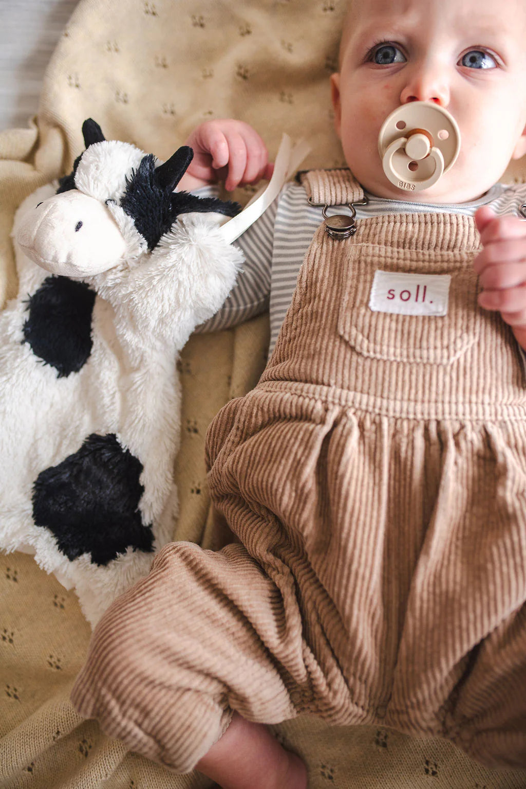 Clover the Cow Hoochy Coochie - Black