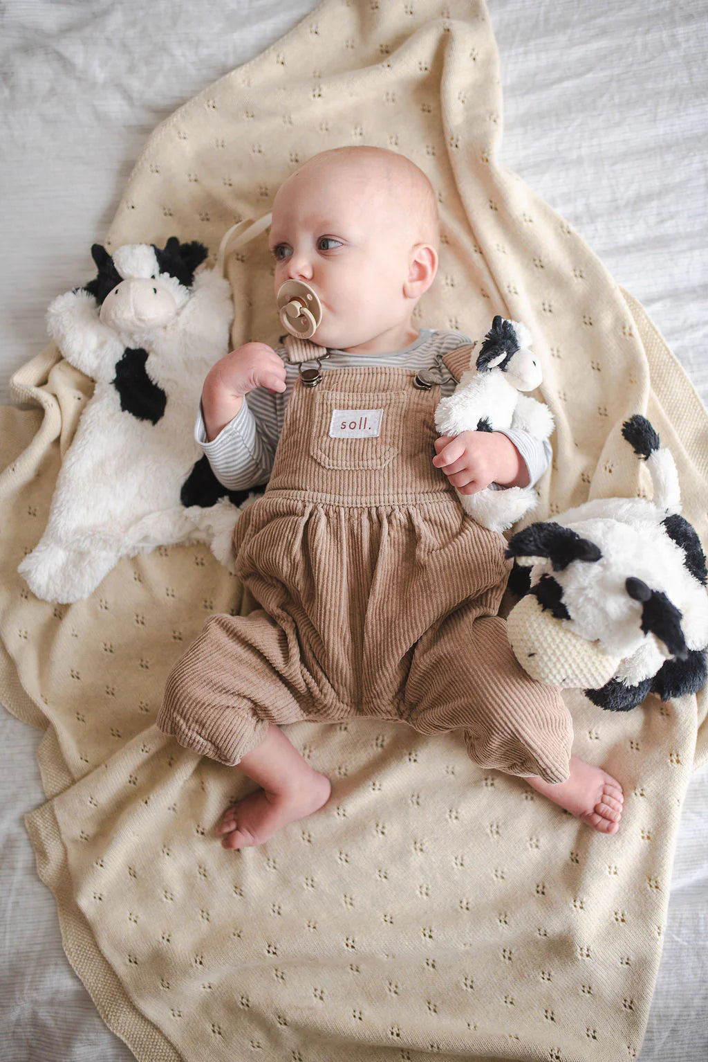 Clover the Cow Hoochy Coochie - Black