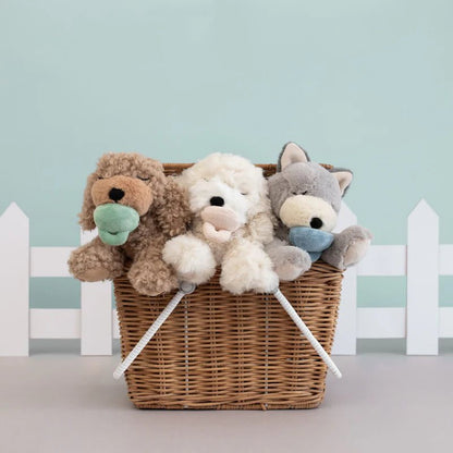 Dinkum Puppy Benny - Aster & Ruby