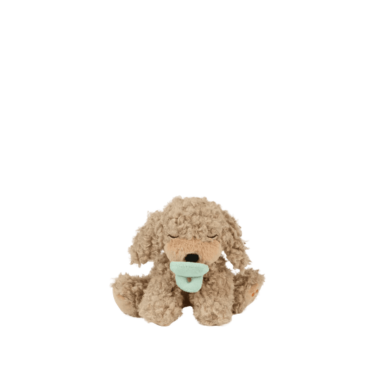 Dinkum Puppy Benny - Aster & Ruby